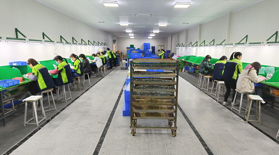 專業(yè)技術(shù)團隊